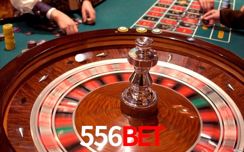 Interface Premium 556BET